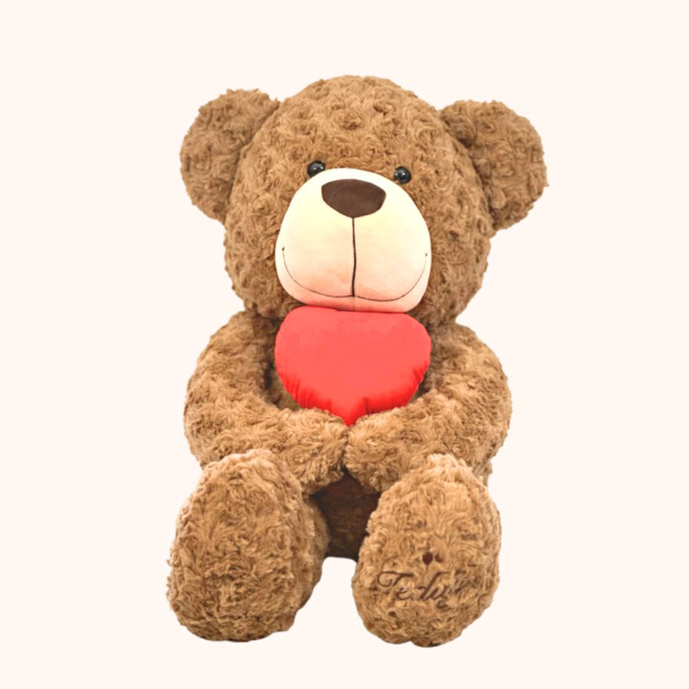 Lovely Brown Teddy